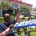 As trade negotiators and corporate lobbyists met at a swank San Diego hotel this July in an attempt to push the secretive Trans-Pacific Partnership (TPP) toward conclusion, labor, environmental and community organizations […]
