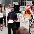 A wide range of consumer, family farm, environmental, Internet freedom, labor and other organizations held a press event outside the Trans-Atlantic Free Trade Agreement (TAFTA) negotiating summit in Arlington, Virginia on May […]